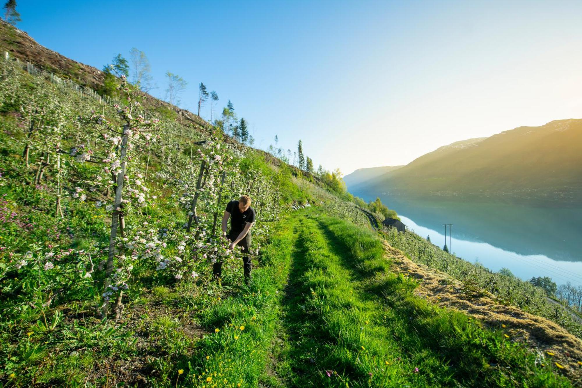 Odda Atmosphere Екстериор снимка